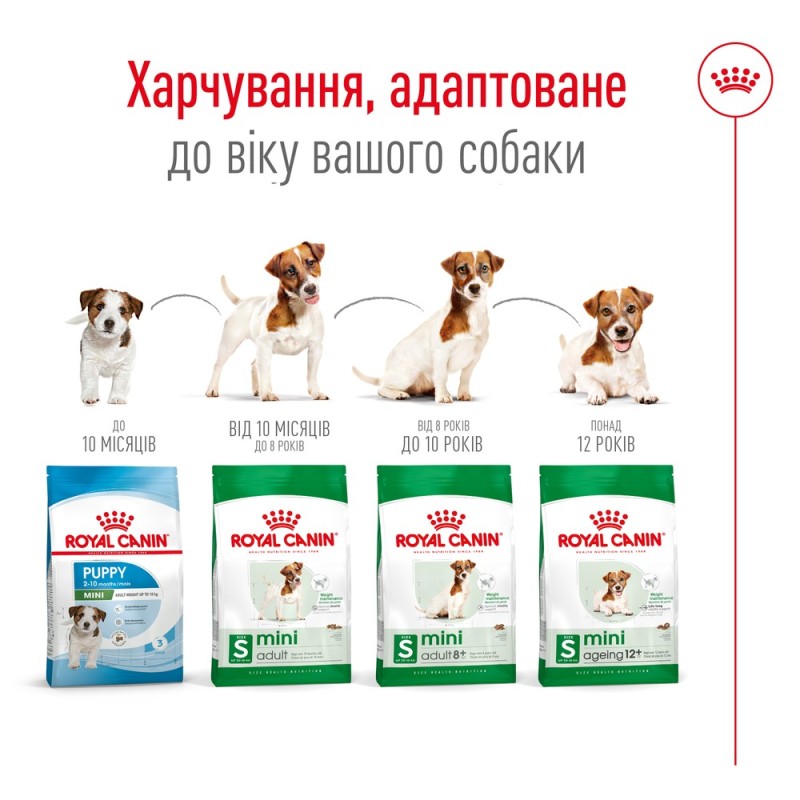 Royal Canin Mini Adult 8+ Сухой корм для собак