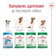 Royal Canin Mini Adult 8+ Сухой корм для собак