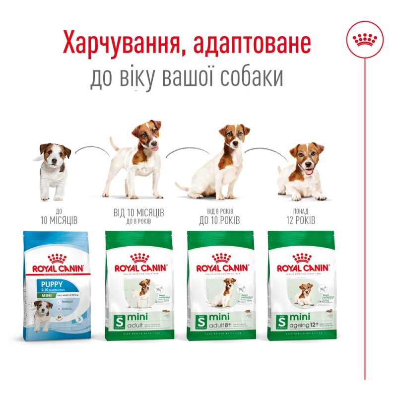 Royal Canin Mini Adult 8+ Сухой корм для собак