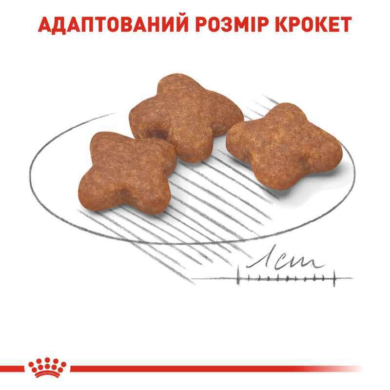 Royal Canin Mini Adult 8+ Сухой корм для собак