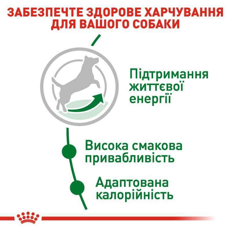 Royal Canin Mini Adult 8+ Сухой корм для собак