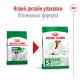 Royal Canin Mini Adult 8+ Сухой корм для собак