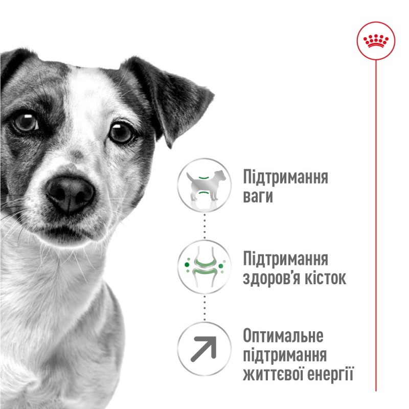 Royal Canin Mini Adult 8+ Сухой корм для собак