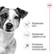 Royal Canin Mini Adult 8+ Сухой корм для собак