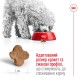 Royal Canin Mini Adult 8+ Сухой корм для собак
