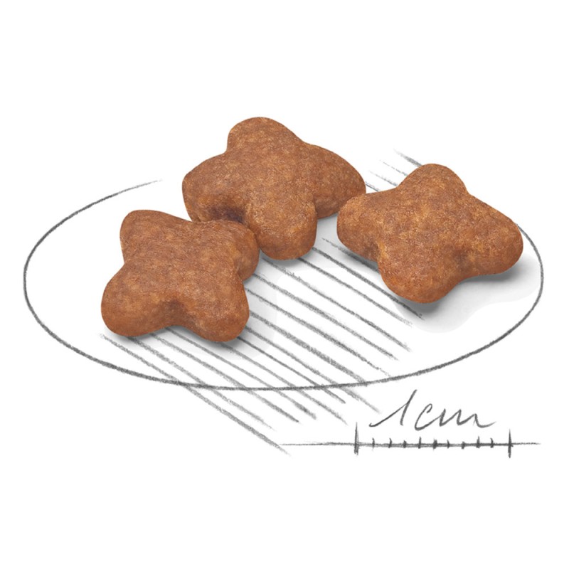 Royal Canin Mini Adult Сухой корм для собак