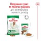 Royal Canin Mini Adult Сухой корм для собак