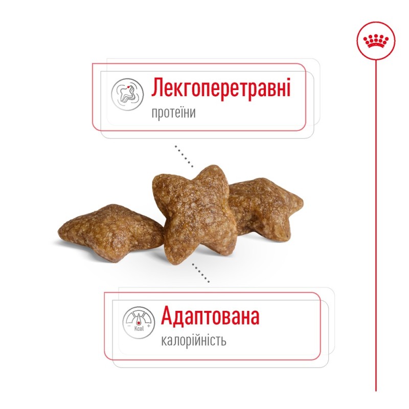 Royal Canin Mini Adult Сухой корм для собак
