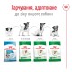 Royal Canin Mini Adult Сухой корм для собак