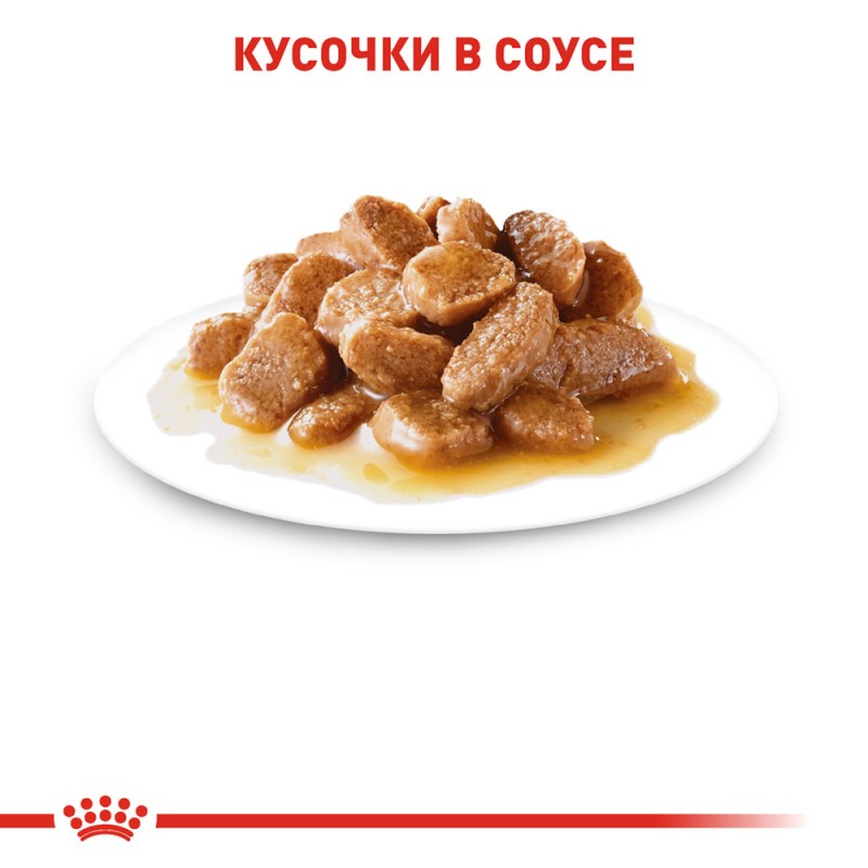Royal Canin Mini Adult Консервы для собак