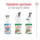 Royal Canin Mini Adult Консервы для собак