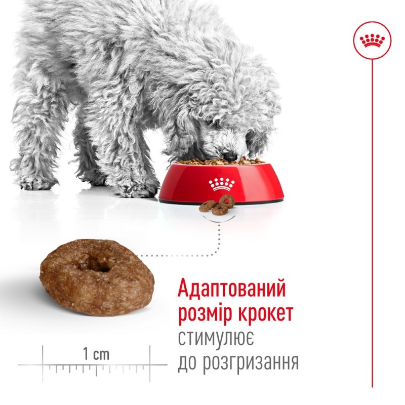 Royal Canin Mini Ageing 12+ Сухой корм для собак