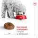 Royal Canin Mini Ageing 12+ Сухой корм для собак