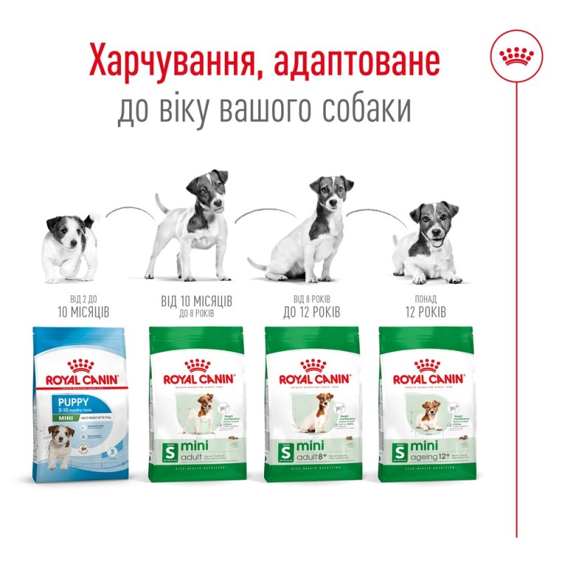 Royal Canin Mini Ageing 12+ Сухой корм для собак