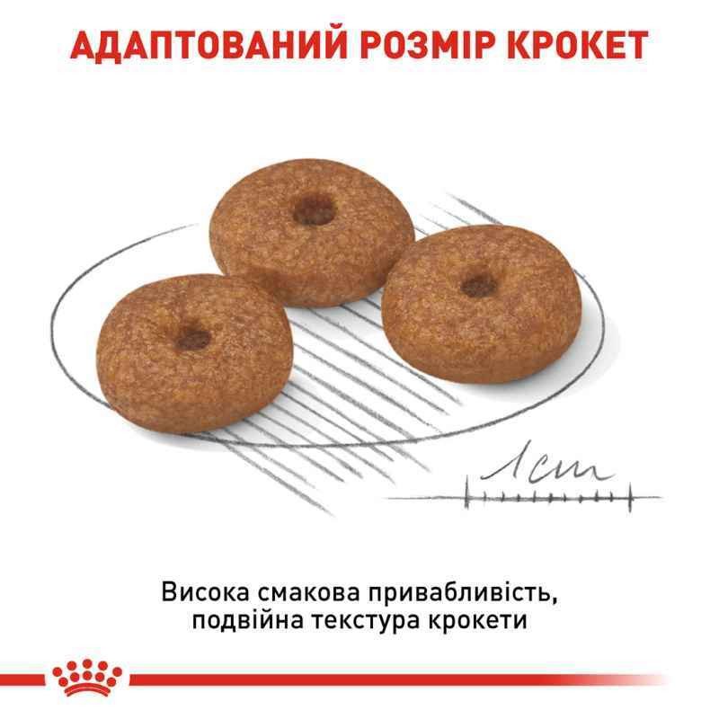 Royal Canin Mini Ageing 12+ Сухой корм для собак