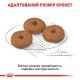 Royal Canin Mini Ageing 12+ Сухой корм для собак