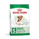 Royal Canin Mini Ageing 12+ Сухой корм для собак