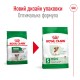 Royal Canin Mini Ageing 12+ Сухой корм для собак