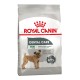 Royal Canin Mini Dental Care Сухой корм для собак