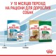Royal Canin Mini Puppy Сухой корм для щенков