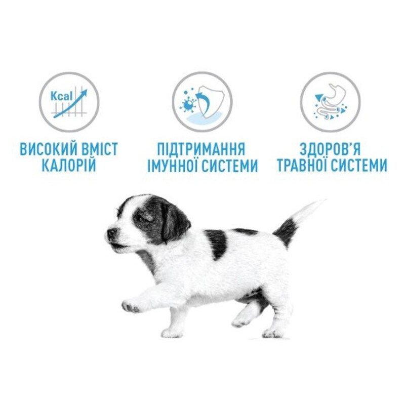 Royal Canin Mini Puppy Сухой корм для щенков