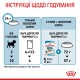 Royal Canin Mini Puppy Консервы для щенков
