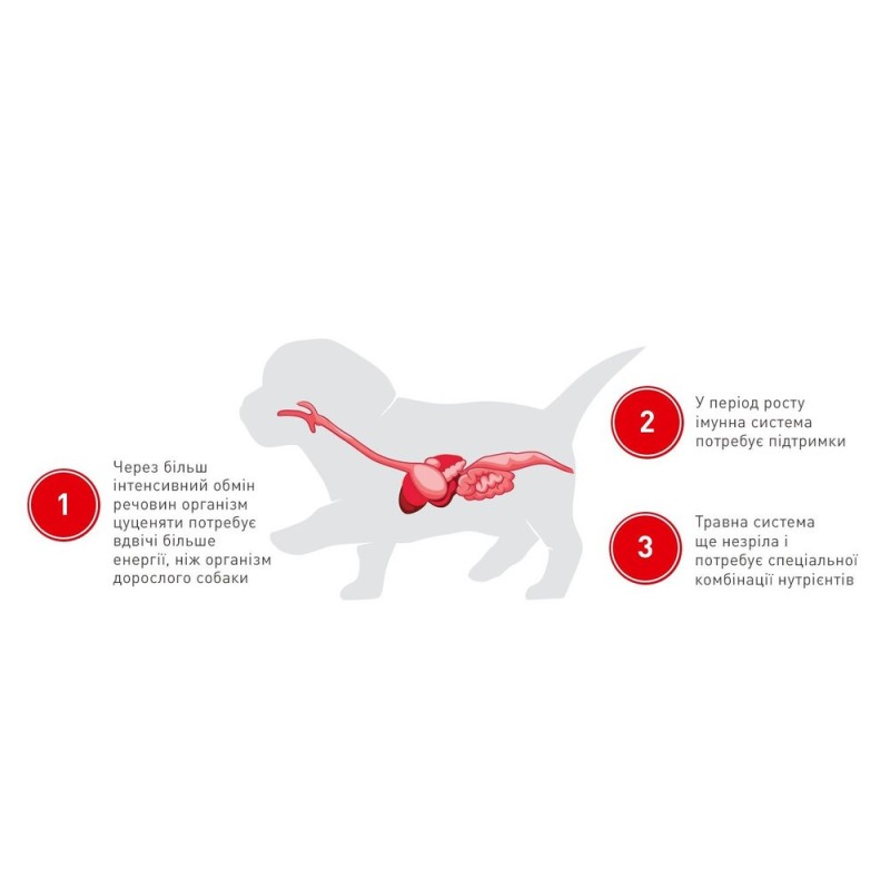 Royal Canin Mini Puppy Консервы для щенков