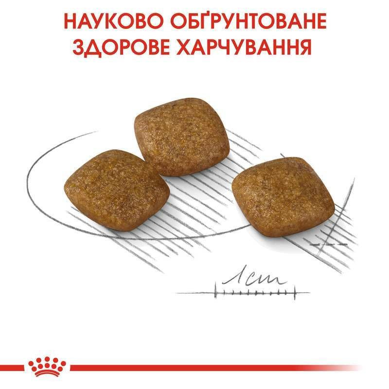 Royal Canin Mini Relax Care Сухой корм для собак