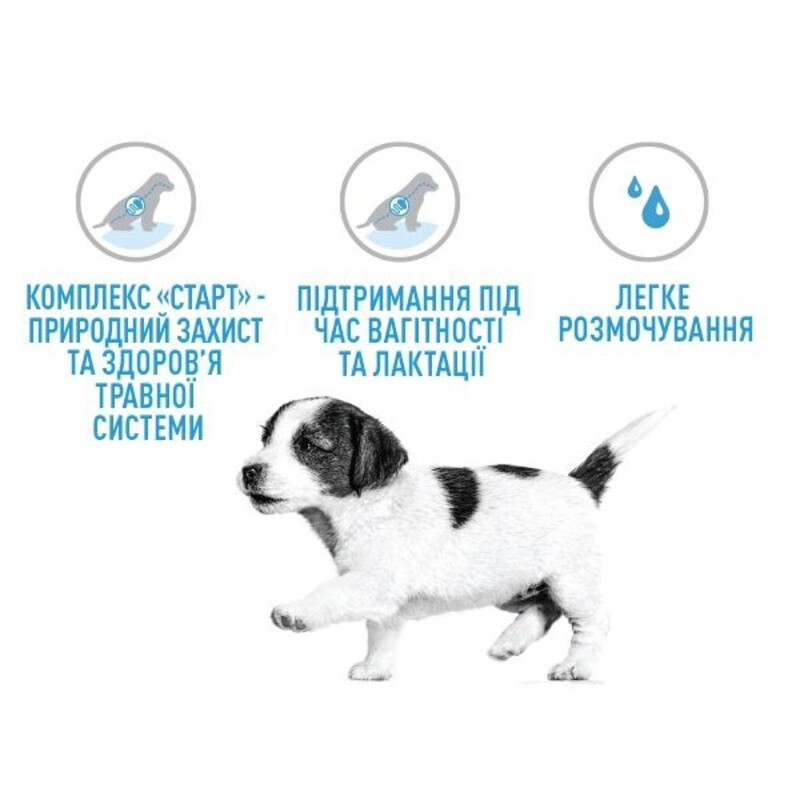 Royal Canin Mini Starter Сухой корм для щенков