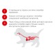 Royal Canin Mini Starter Сухой корм для щенков