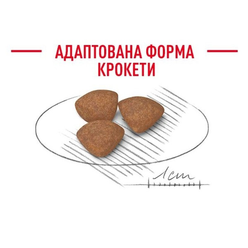 Royal Canin Mini Starter Сухой корм для щенков