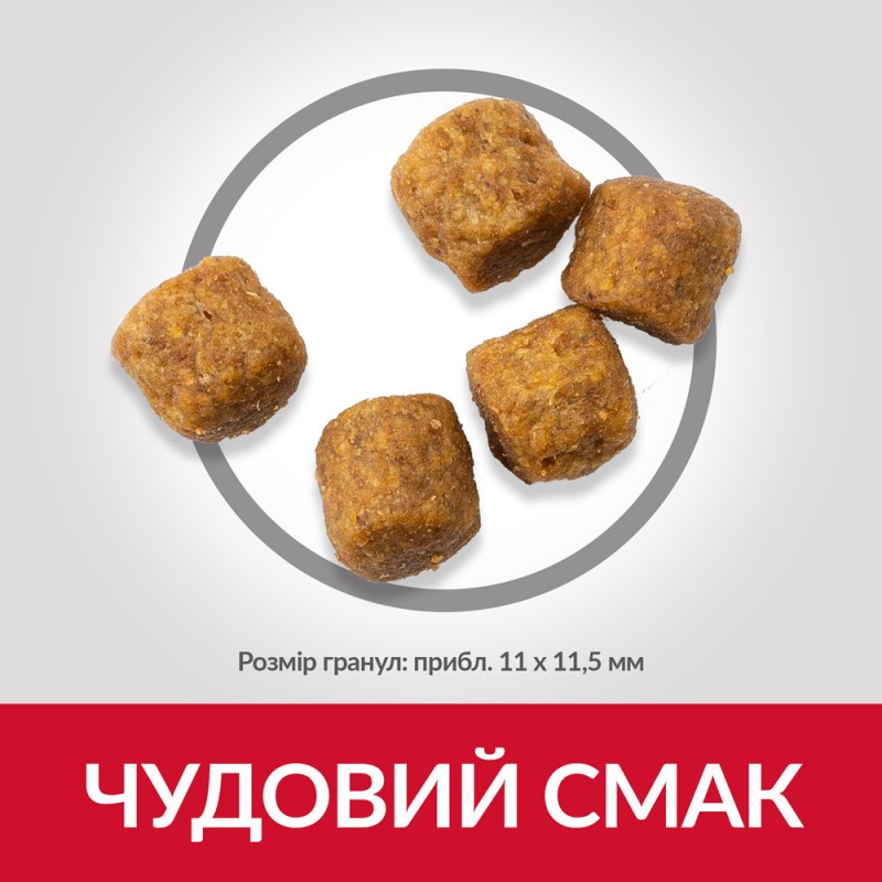Hills Science Plan Canine Adult Medium Breed Lamb and Rice Сухой корм для взрослых собак средних пород с ягненком и рисом