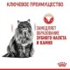 Royal Canin Oral Care Сухой корм для взрослых кошек