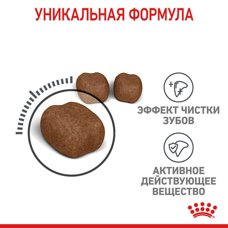 Royal Canin Oral Care Сухой корм для взрослых кошек