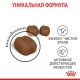 Royal Canin Oral Care Сухой корм для взрослых кошек