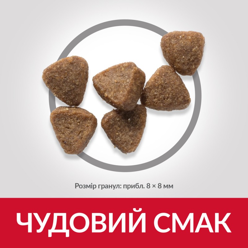 Hills Science Plan Feline Kitten Chicken Сухой корм для котят с курицей