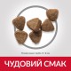 Hills Science Plan Feline Kitten Chicken Сухой корм для котят с курицей