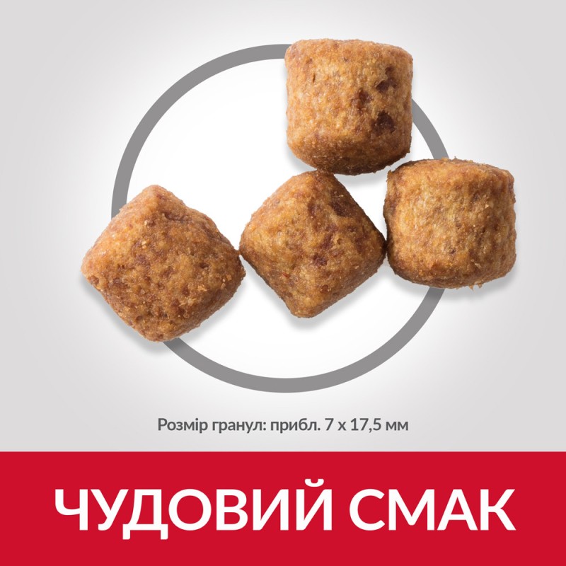 Hills Science Plan Canine Adult Large Breed Mature 6+ Chicken Сухий корм для літніх собак великих порід із куркою