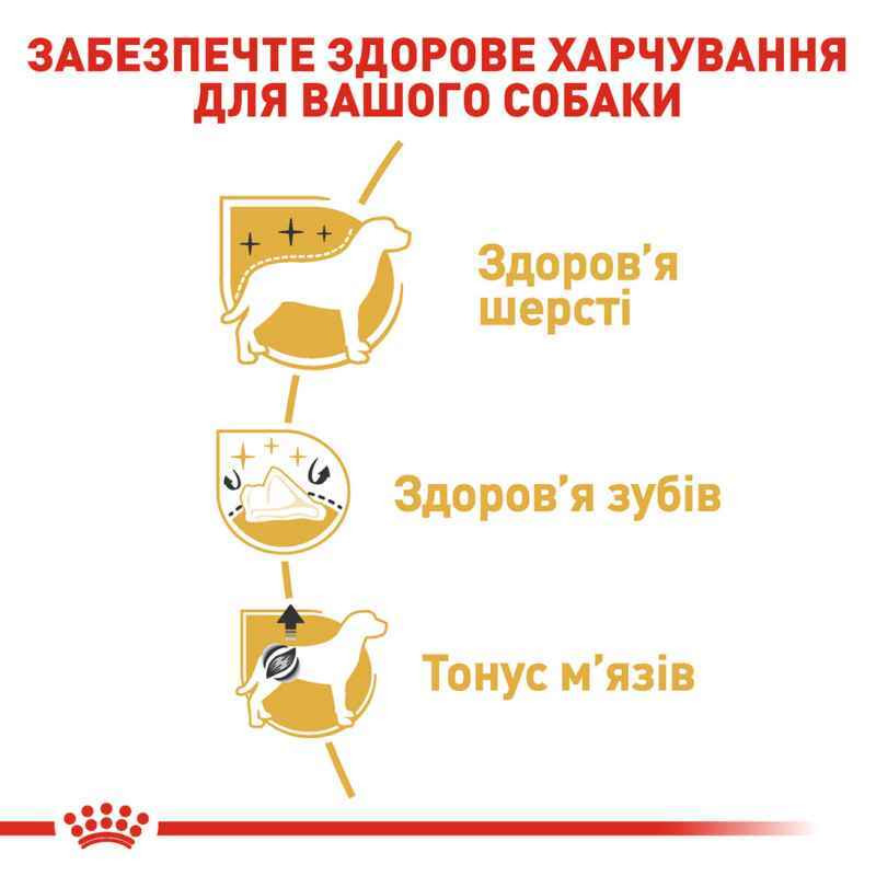 Royal Canin Poodle Adult Сухой корм для собак