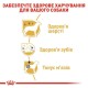 Royal Canin Poodle Adult Сухой корм для собак