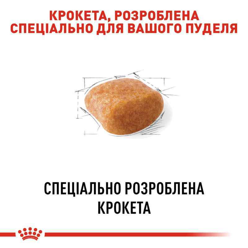 Royal Canin Poodle Adult Сухой корм для собак
