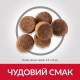 Hills Science Plan Canine Puppy Large Breed Chicken Сухой корм для щенков крупных пород с курицей