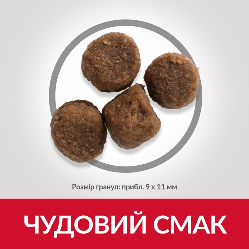 Hills Science Plan Canine Puppy Medium Breed Chicken Сухой корм для щенков средних пород с курицей