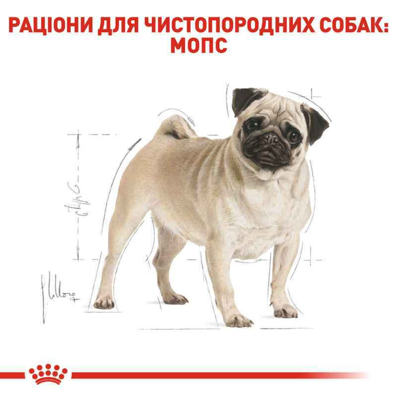 Royal Canin Pug Adult Сухой корм для собак