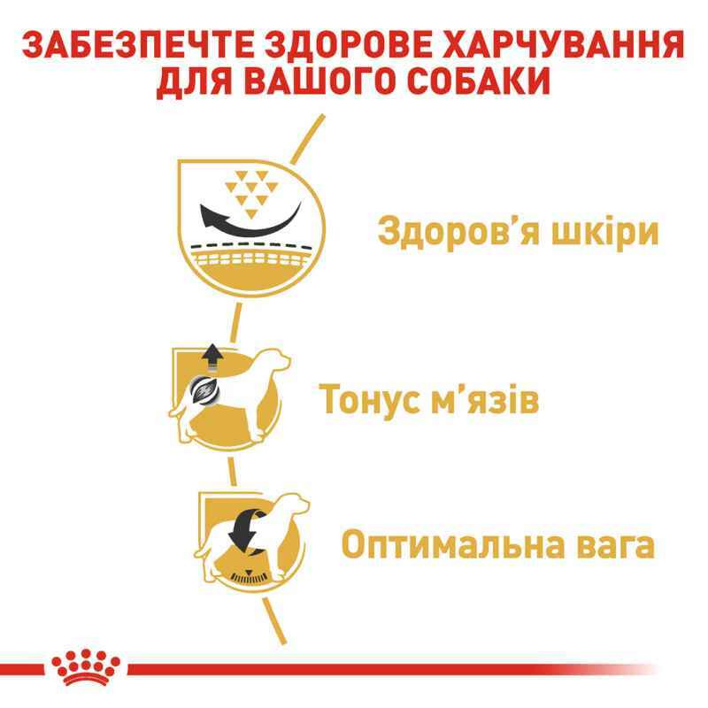 Royal Canin Pug Adult Сухой корм для собак