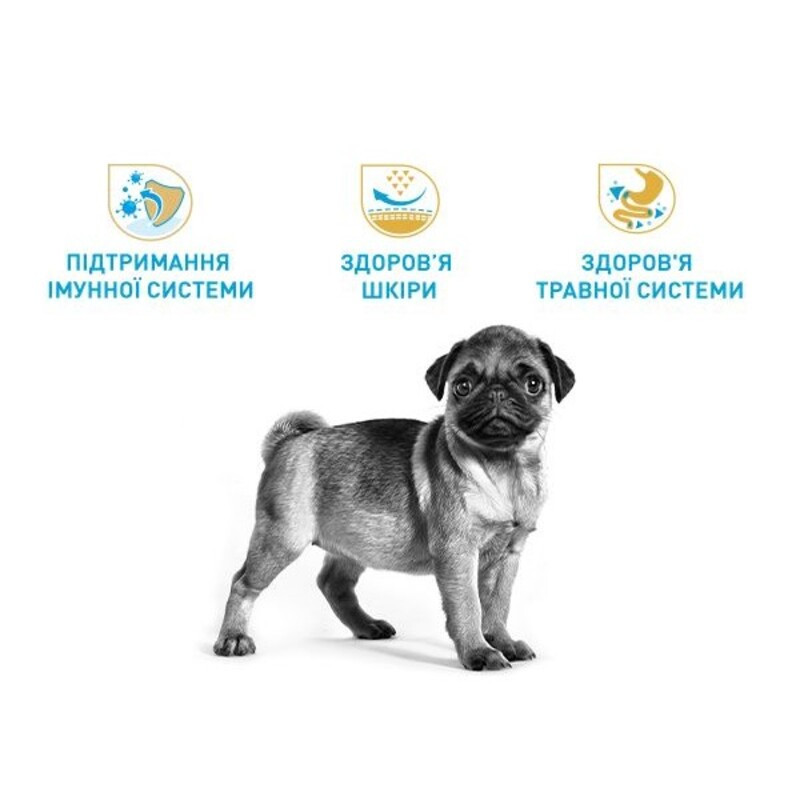 Royal Canin Pug Puppy Сухой корм для щенков