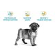 Royal Canin Pug Puppy Сухой корм для щенков