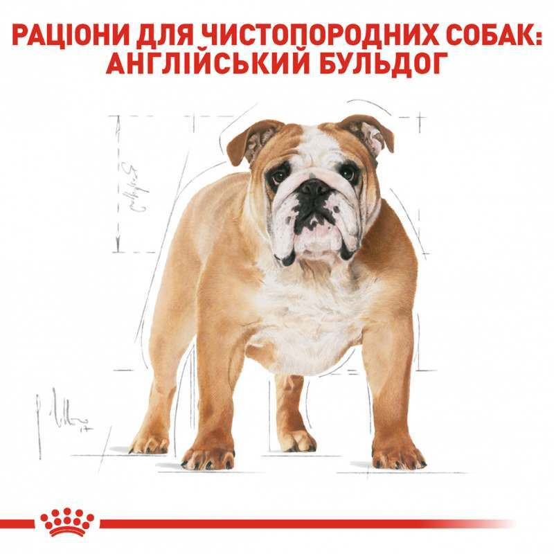 Royal Canin Bulldog Adult Сухой корм для собак