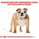 Royal Canin Bulldog Adult Сухой корм для собак