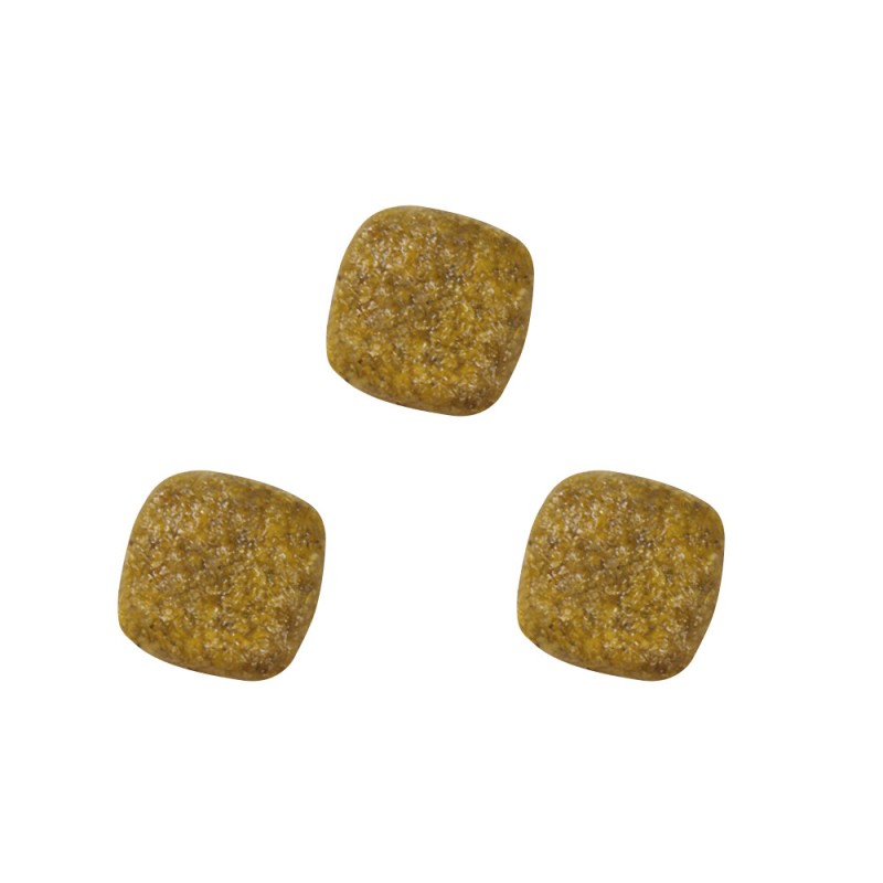 Royal Canin Renal Canine Лечебный корм для собак